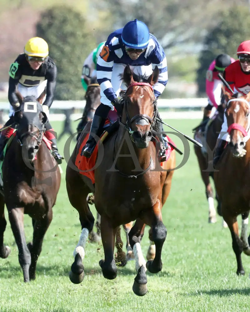 TEST SCORE - The Transylvania Presented by Keeneland Select - 04-07-25 - R08 - KEE - Gallop Out 02 Keeneland