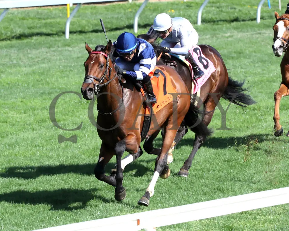TEST SCORE - The Transylvania Presented by Keeneland Select - 04-07-25 - R08 - KEE - Inside Finish 01 Keeneland