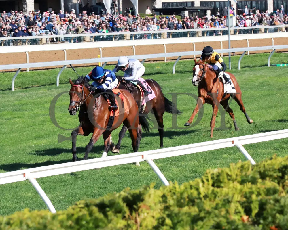 TEST SCORE - The Transylvania Presented by Keeneland Select - 04-07-25 - R08 - KEE - Inside Finish 02 Keeneland