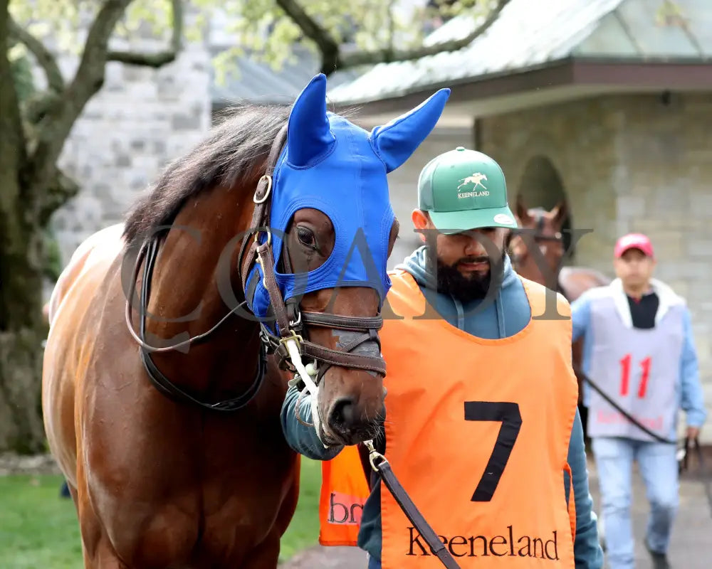 TEST SCORE - The Transylvania Presented by Keeneland Select - 04-07-25 - R08 - KEE - Paddock 02 Keeneland