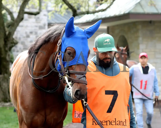TEST SCORE - The Transylvania Presented by Keeneland Select - 04-07-25 - R08 - KEE - Paddock 02 Keeneland