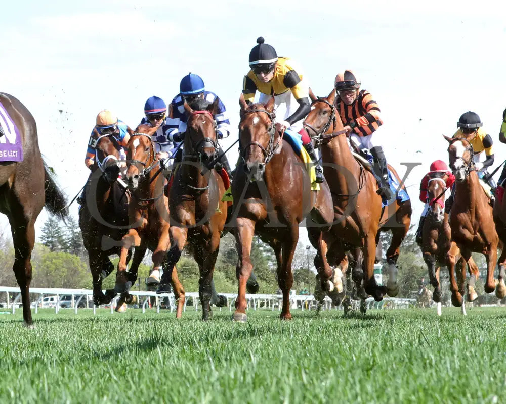 TEST SCORE - The Transylvania Presented by Keeneland Select - 04-07-25 - R08 - KEE - Under Rail - First Pass 01