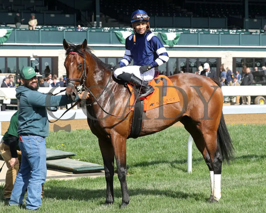 TEST SCORE  - The Transylvania Presented by Keeneland Select - 04-07-25 - R08 - KEE - Winners Circle 01 - Coady Media - Kurtis Coady Photography
