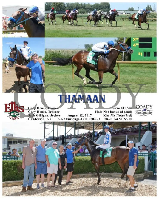 Thamaan - 081217 Race 05 Elp Ellis Park