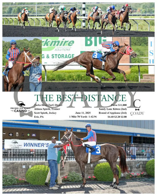 THE BEST DISTANCE - 06-11-25 - R05 - PID Presque Isle Downs