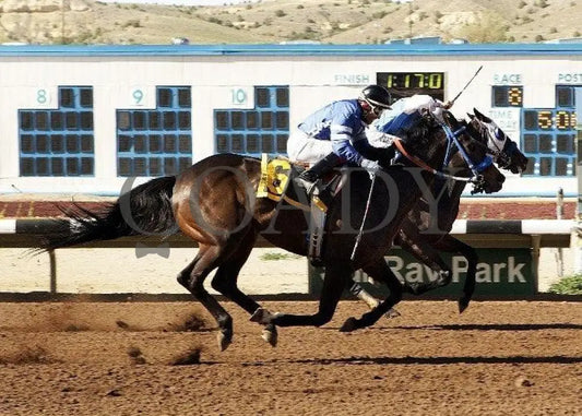The Big One - Peggy R Leyba Memorial Sunray Park