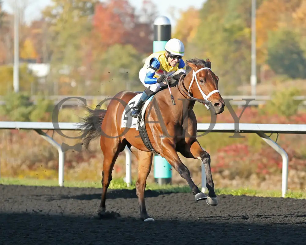 The Boy’s Warrior - The Mark Mcdermott Stakes 10-21-24 R05 Pid Tight Finish Presque Isle Downs