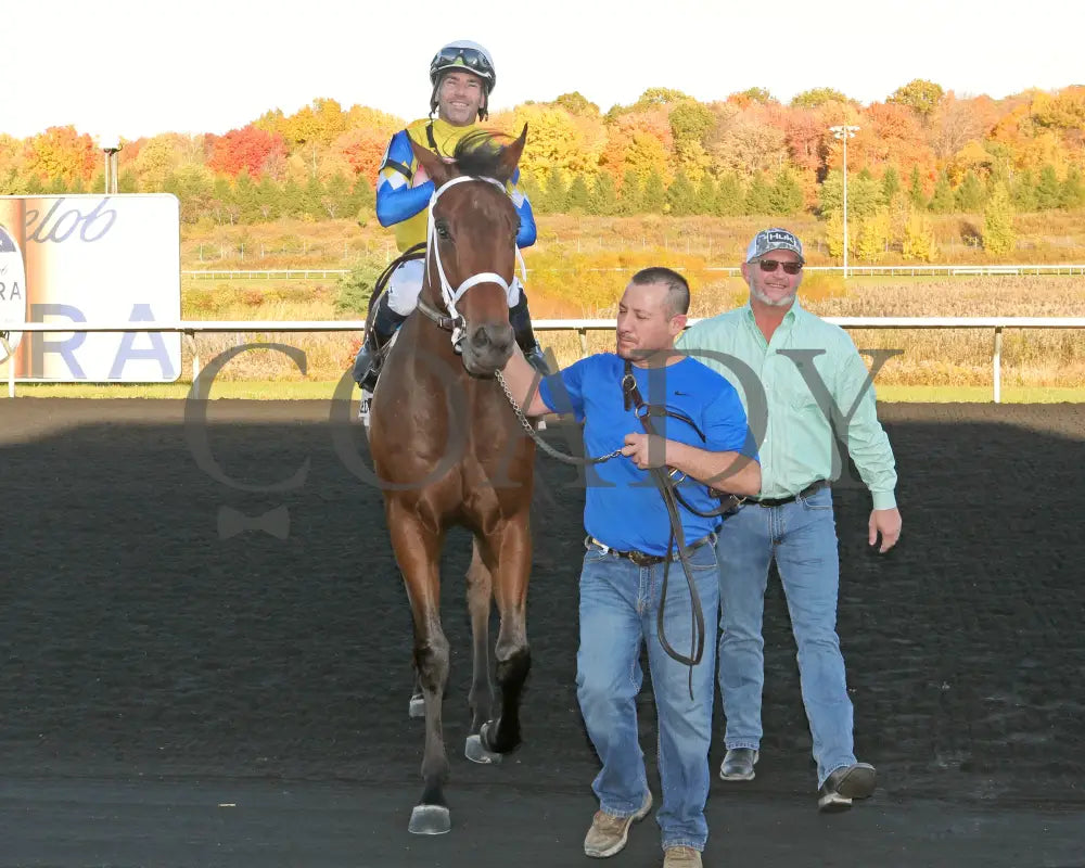 The Boy’s Warrior - The Mark Mcdermott Stakes 10-21-24 R05 Pid Walk In Presque Isle Downs