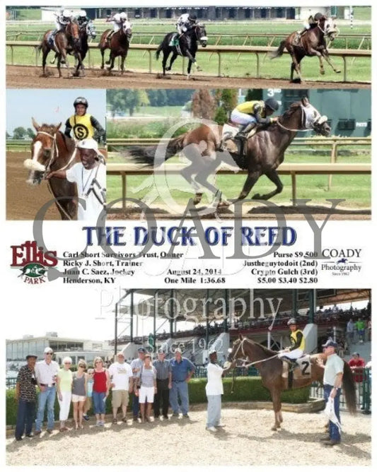 The Duck Of Reed - 082414 Race 03 Elp Ellis Park