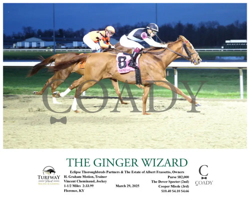 THE GINGER WIZARD - 03-29-25 - R05 - TP Turfway Park
