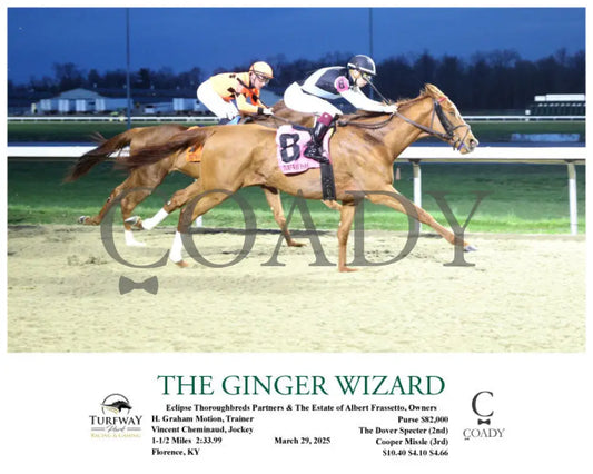 THE GINGER WIZARD - 03-29-25 - R05 - TP Turfway Park