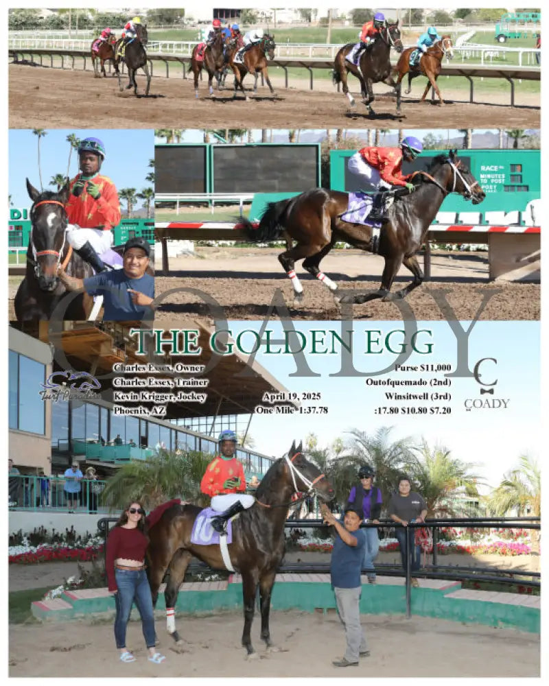 THE GOLDEN EGG - 04-19-25 - R08 - TUP Turf Paradise