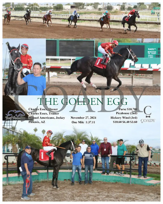 The Golden Egg - 11-27-24 R07 Tup Turf Paradise