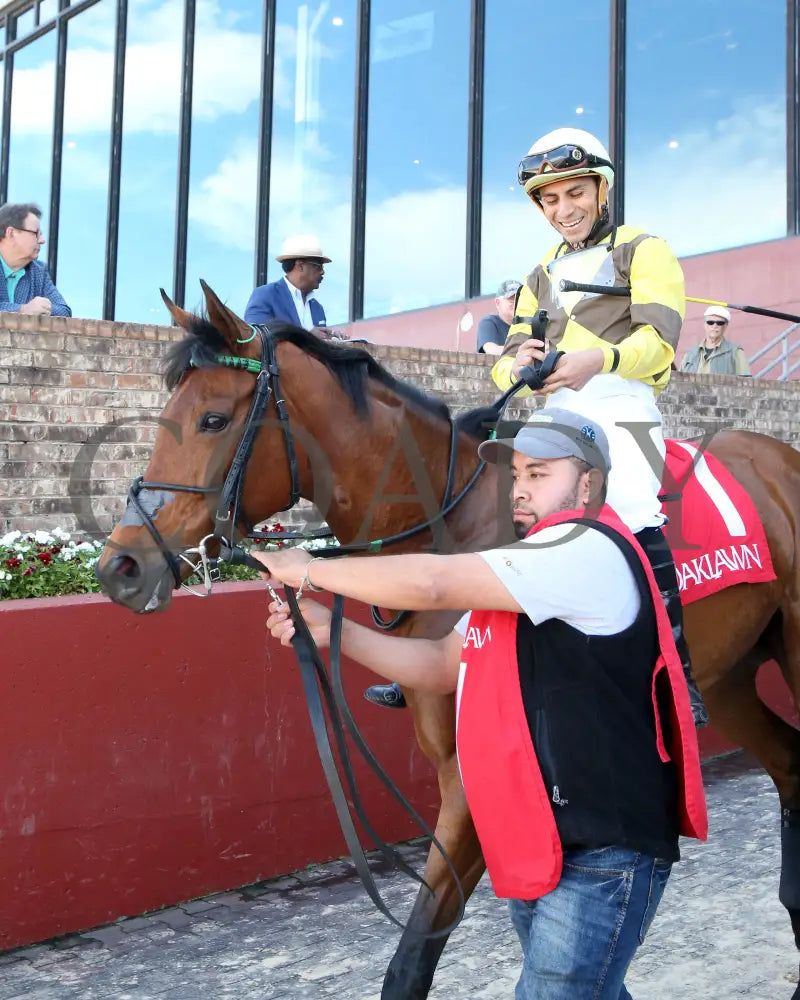 The Mary Rose - The Natural State Breeders’ Stakes 2Nd Running 05-06-22 R08 Op Post Parade 01