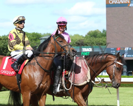 The Mary Rose - The Natural State Breeders’ Stakes 2Nd Running 05-06-22 R08 Op Post Parade 02
