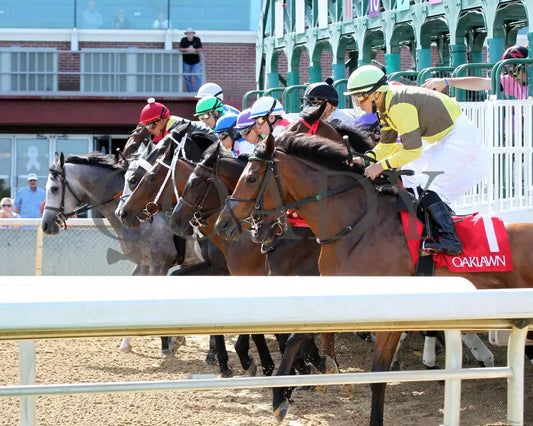 The Mary Rose - The Natural State Breeders’ Stakes 2Nd Running 05-06-22 R08 Op Start 01 Oaklawn Park