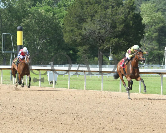 The Mary Rose - The Natural State Breeders’ Stakes 2Nd Running 05-06-22 R08 Op Up Track 01