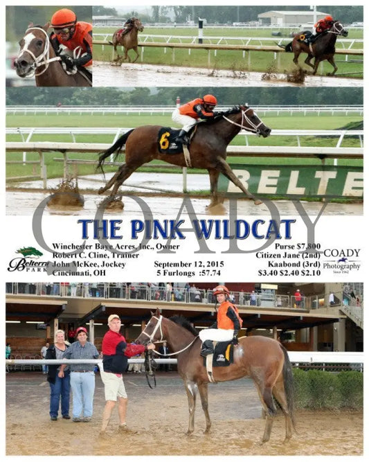 The Pink Wildcat - 091215 Race 07 Btp Belterra Park