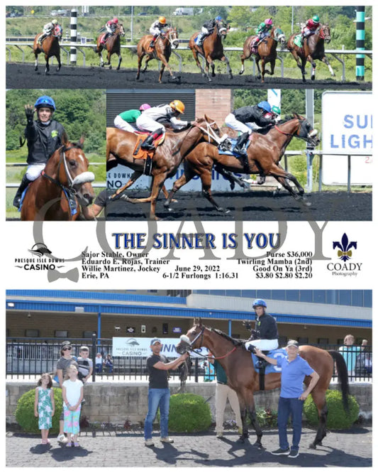 The Sinner Is You - 06-29-22 R06 Pid Presque Isle Downs