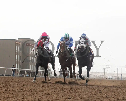 THE SMOOCH - New Mexico Breeders’ Derby-1st Running - 03-28-25 - R10 - Sunland Park - Under Rail Sunland Park