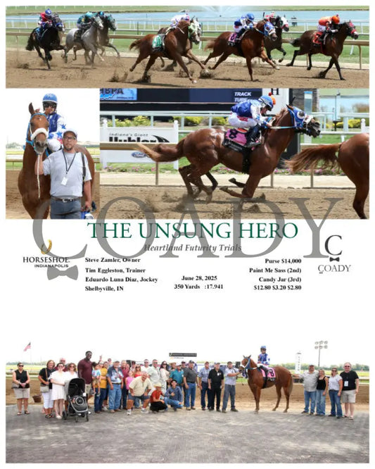 THE UNSUNG HERO - Heartland Futurity Trials - 06-28-25 - R06 - IND Indiana Grand