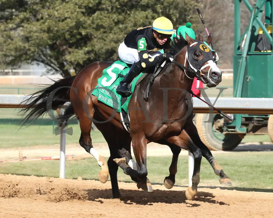 The Wine Steward - The Fifth Season Stakes 01-25-25 R07 Op Finish 02 Oaklawn Park