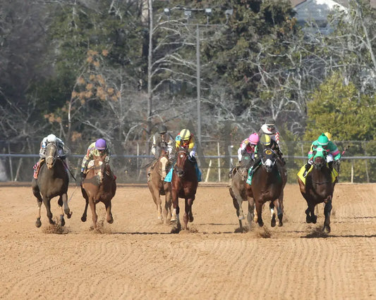 The Wine Steward - The Fifth Season Stakes 01-25-25 R07 Op Head On 01 Oaklawn Park