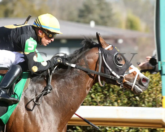 The Wine Steward - The Fifth Season Stakes 01-25-25 R07 Op Tight Finish 01 Oaklawn Park