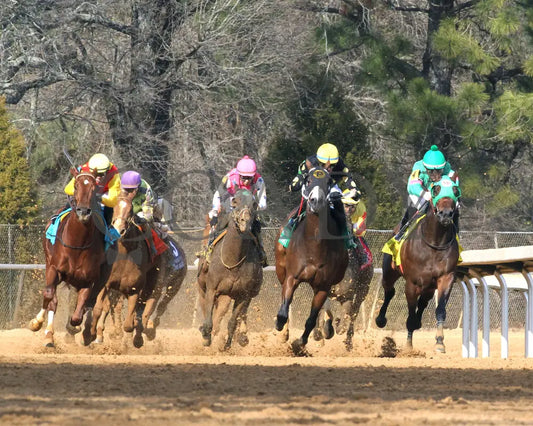 The Wine Steward - The Fifth Season Stakes 01-25-25 R07 Op Turn 01 Oaklawn Park