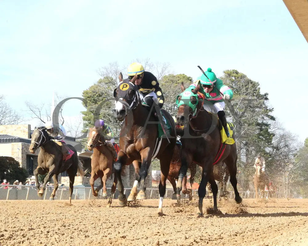 The Wine Steward - The Fifth Season Stakes 01-25-25 R07 Op Under Rail 01 Oaklawn Park
