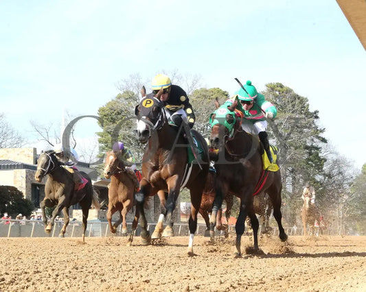 The Wine Steward - The Fifth Season Stakes 01-25-25 R07 Op Under Rail 01 Oaklawn Park