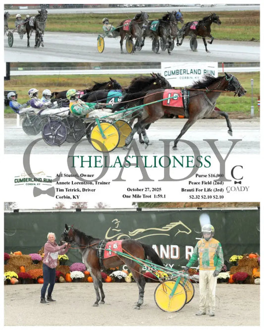 THELASTLIONESS - 102725 - Race 06 - CMR Presque Isle Downs