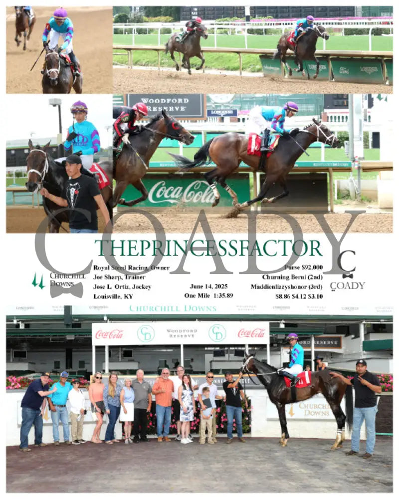 THEPRINCESSFACTOR - 06-14-25 - R01 - CD Churchill Downs