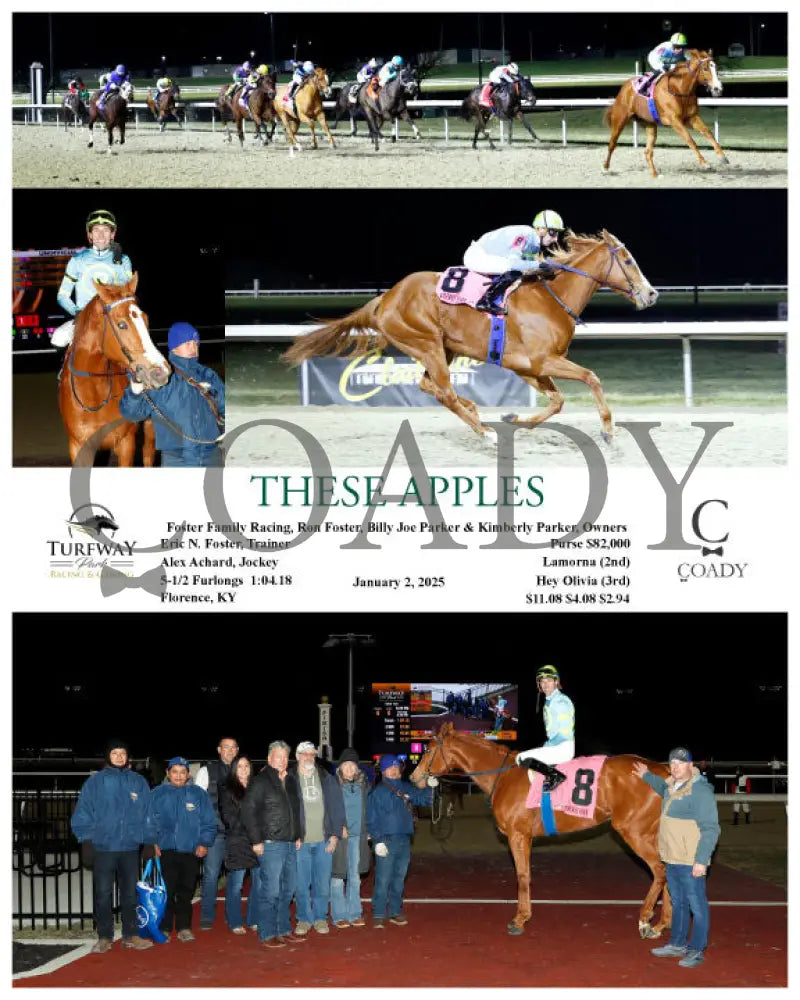 These Apples - 010225 Race 06 Tp Turfway Park