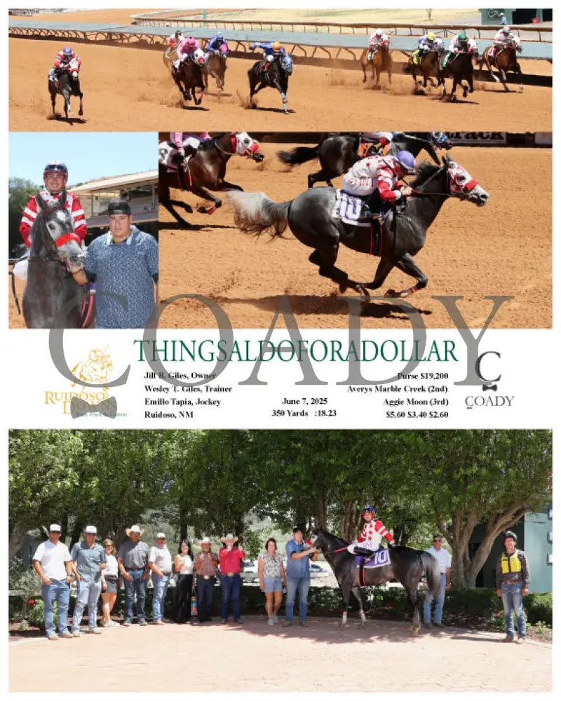 THINGSALDOFORADOLLAR - 06-07-25 - R05 - RUI Ruidoso Downs