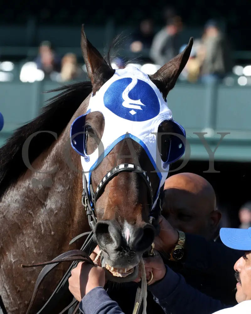 THINK BIG - The Valvoline Global Shakertown G2 - 04-08-25 - R09 - KEE - Come Back 08 Keeneland