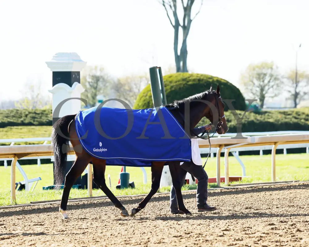 THINK BIG - The Valvoline Global Shakertown G2 - 04-08-25 - R09 - KEE - Walk Back 01 Keeneland