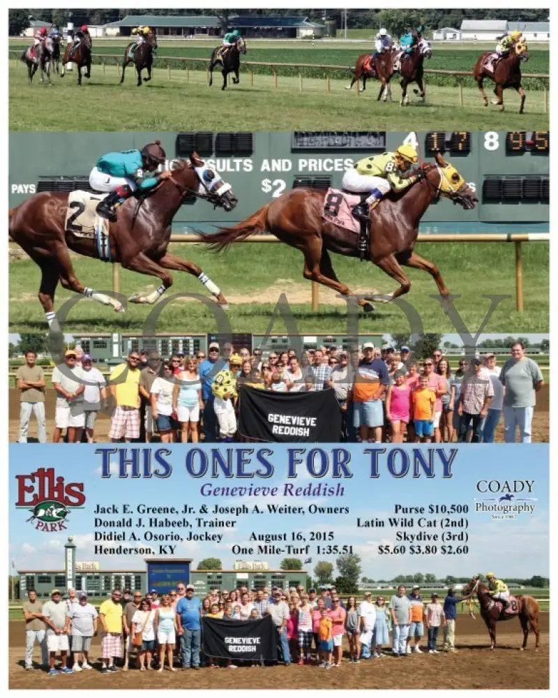 This Ones For Tony - 081615 Race 06 Elp Ellis Park