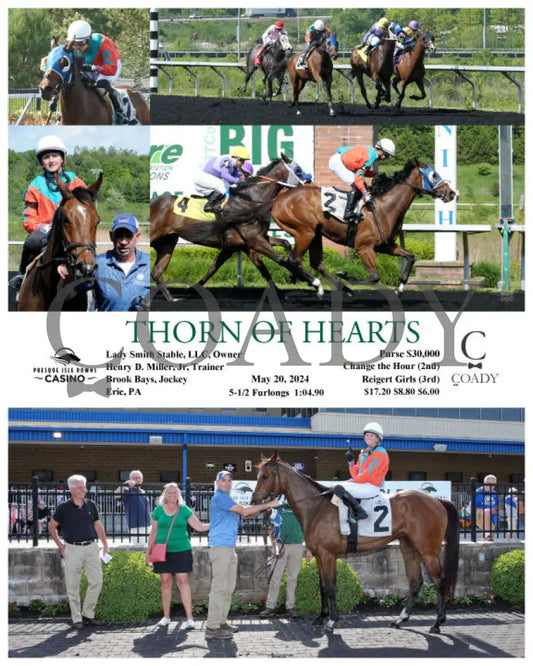 Thorn Of Hearts - 05-20-24 R04 Pid Presque Isle Downs