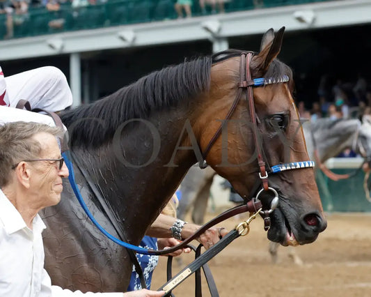 THORPEDO ANNA - 062825 - Race 07 - CD - Come Back 03 Churchill Downs