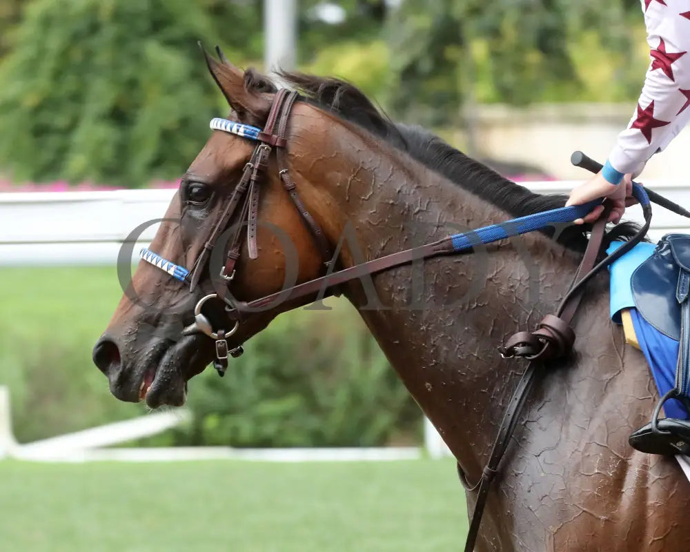 THORPEDO ANNA - 062825 - Race 07 - CD - Come Back 06 Churchill Downs