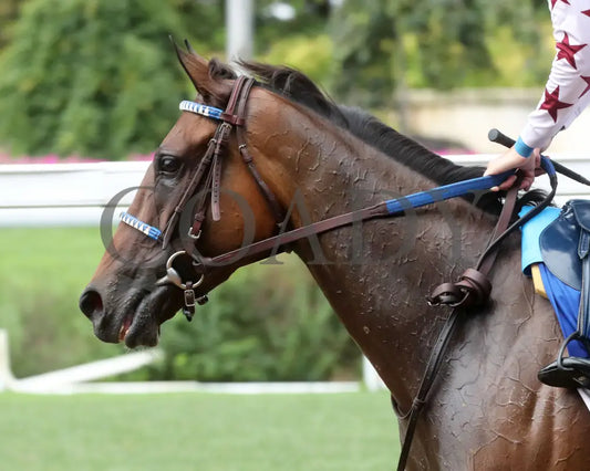 THORPEDO ANNA - 062825 - Race 07 - CD - Come Back 06 Churchill Downs