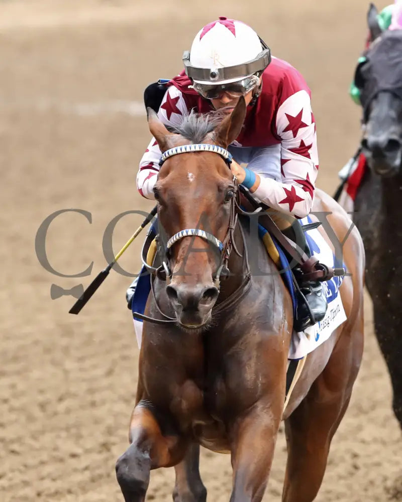 THORPEDO ANNA - 062825 - Race 07 - CD - Inside Finish 02 Churchill Downs