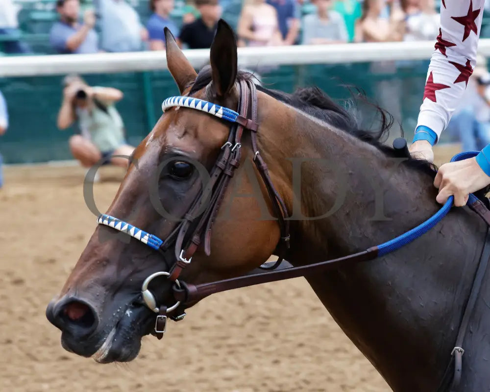 THORPEDO ANNA - 062825 - Race 07 - CD - Inside Finish 04 Churchill Downs