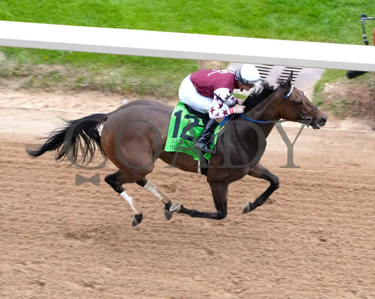 Thorpedo Anna - The 52Nd Running Of Fantasy Stakes G2 03 - 30 - 24 R11 Op Aerial Finish 02 Oaklawn