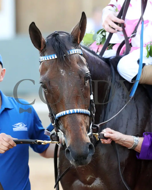 THORPEDO ANNA - The Apple Blossom Handicap - G1 - 04-12-25 - R11 - OP - Comeback 01 Oaklawn Park