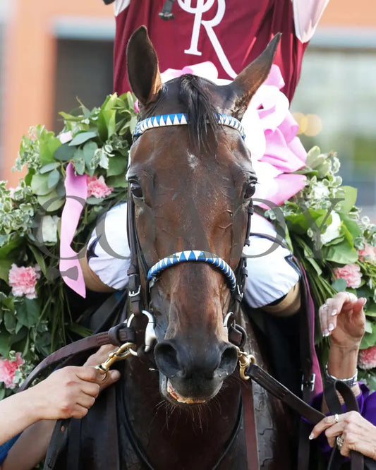 THORPEDO ANNA - The Apple Blossom Handicap - G1 - 04-12-25 - R11 - OP - Comeback 02 Oaklawn Park