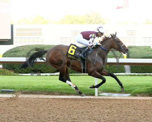 THORPEDO ANNA - The Apple Blossom Handicap - G1 - 04-12-25 - R11 - OP - Finish 01 Oaklawn Park