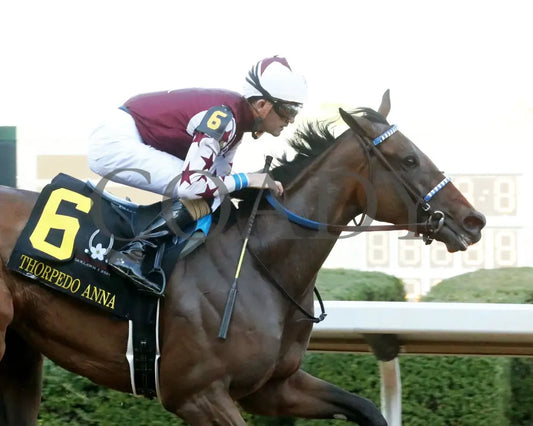 THORPEDO ANNA - The Apple Blossom Handicap - G1 - 04-12-25 - R11 - OP - Finish 02 Oaklawn Park