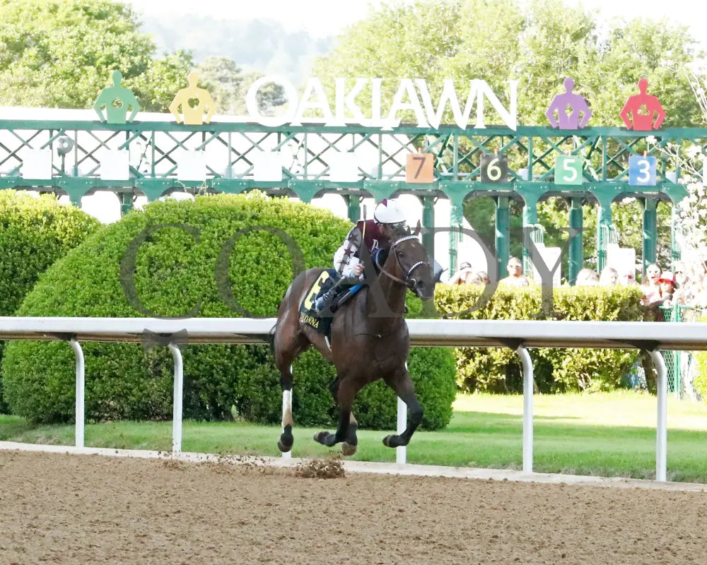 THORPEDO ANNA - The Apple Blossom Handicap - G1 - 04-12-25 - R11 - OP - Finish 03 Oaklawn Park